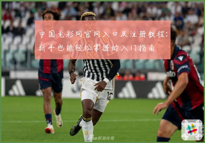 中国竞彩网官网入口及注册教程：新手也能轻松掌握的入门指南