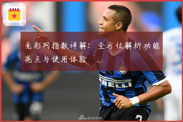竞彩网指数详解：全方位解析功能亮点与使用体验