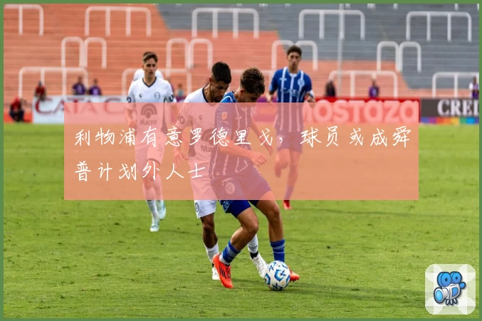 利物浦有意罗德里戈,球员或成舜普计划外人士
