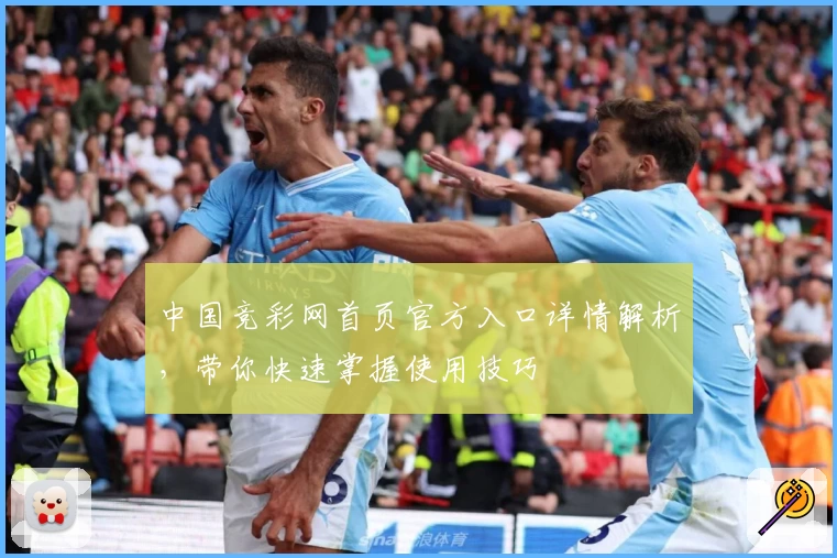 中国竞彩网首页官方入口详情解析,带你快速掌握使用技巧