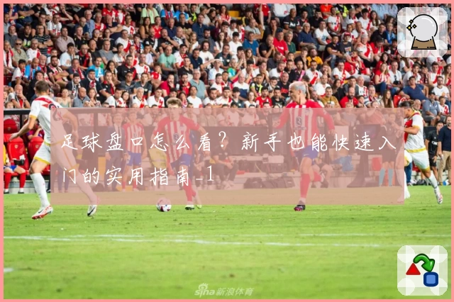 足球盘口怎么看？新手也能快速入门的实用指南_1