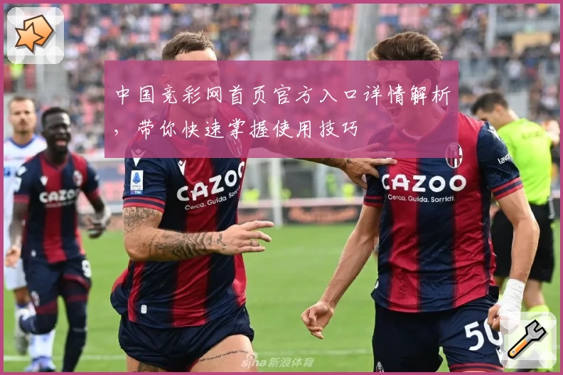 中国竞彩网首页官方入口详情解析，带你快速掌握使用技巧